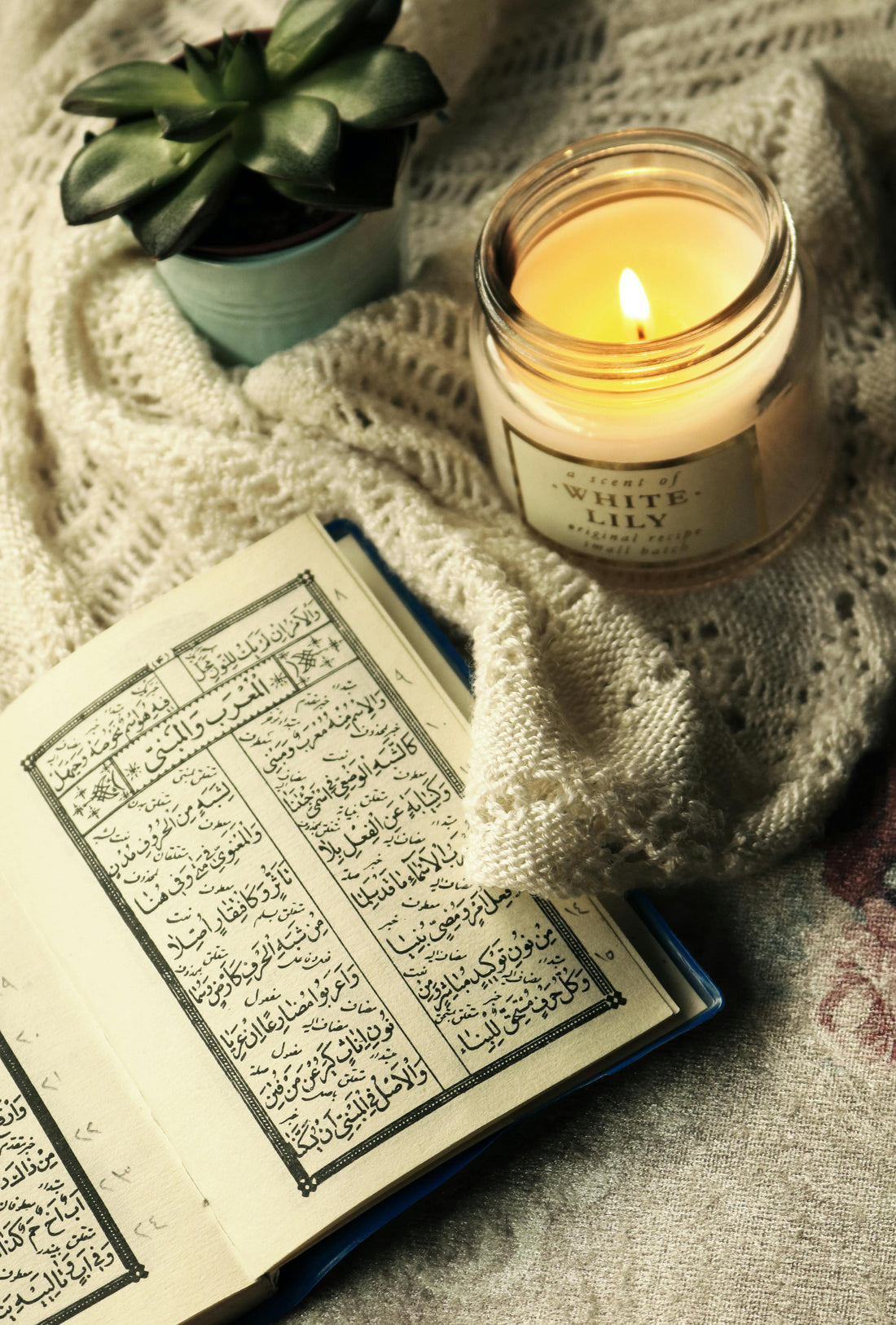 L'arabe, langue d'histoire et d'avenir !